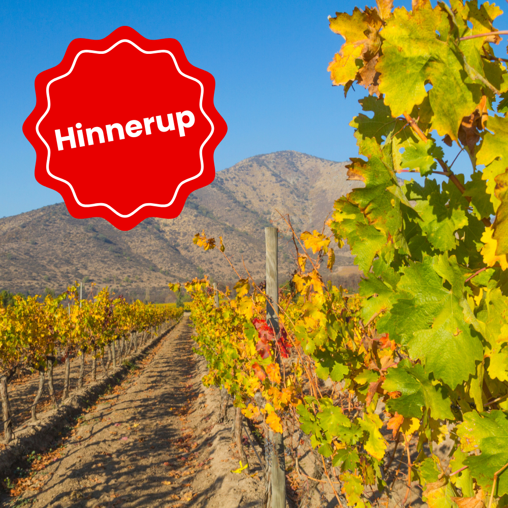 Torsdag d. 10. september kl. 18.30 - Spansk Vinsmagning