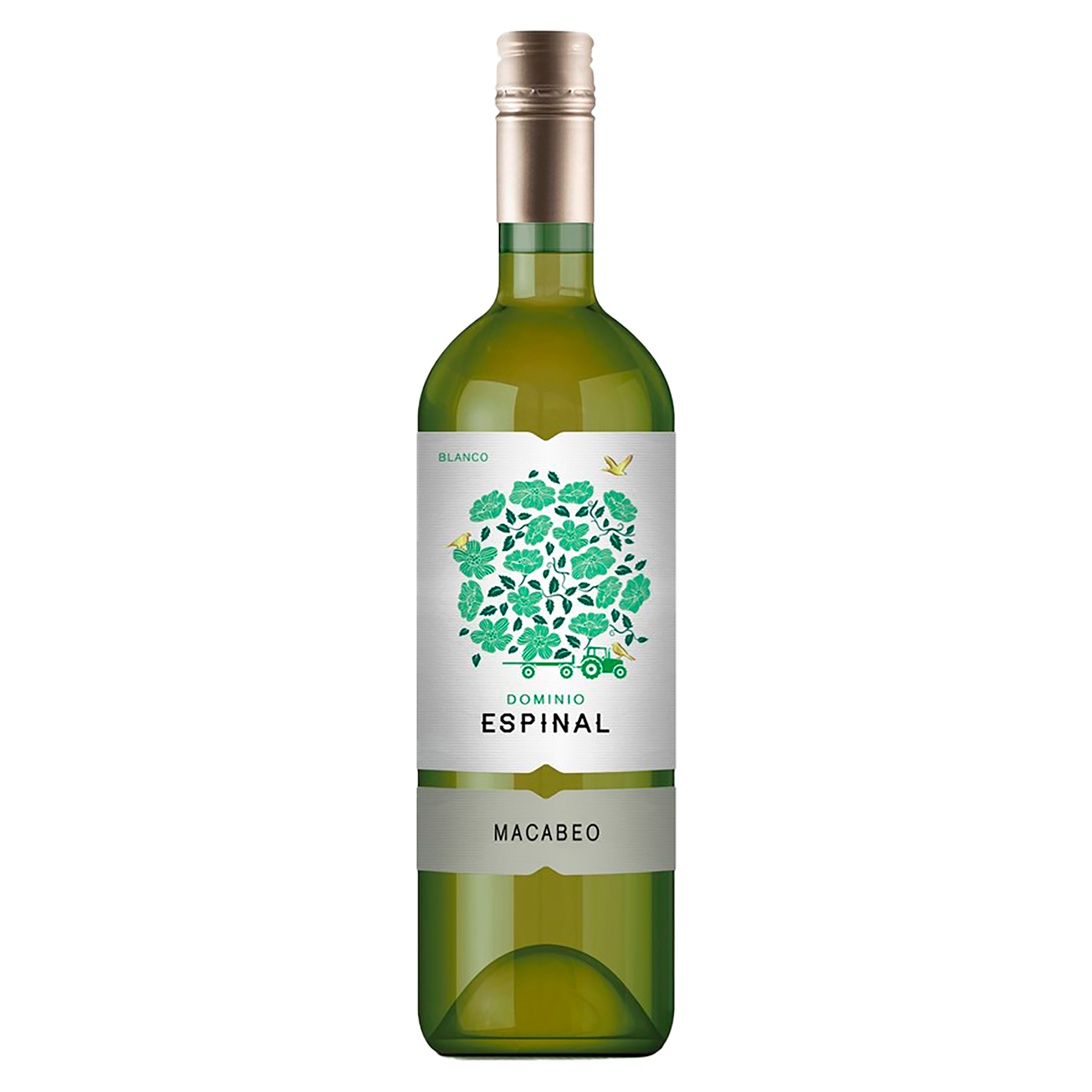 Dominio Espinal White