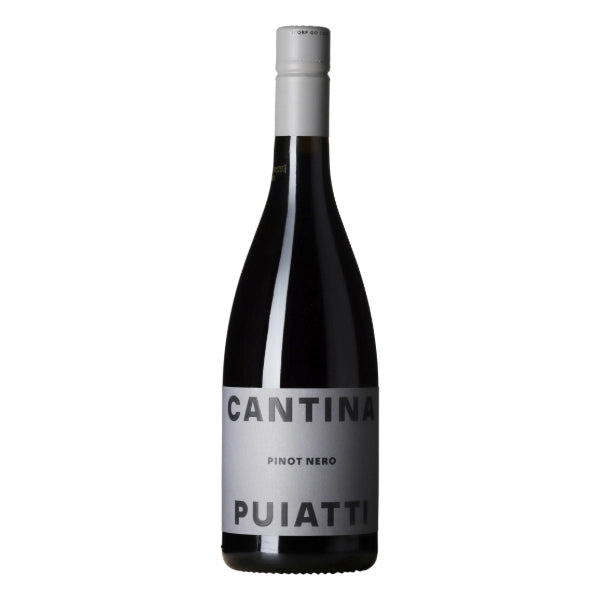 Pinot Nero Friuli